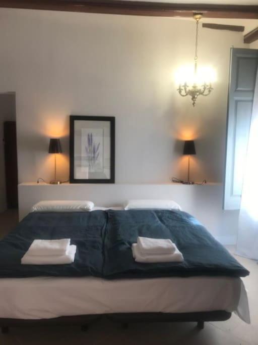 Ca Margalef - Casa Rural Con Encanto Ginestar Buitenkant foto