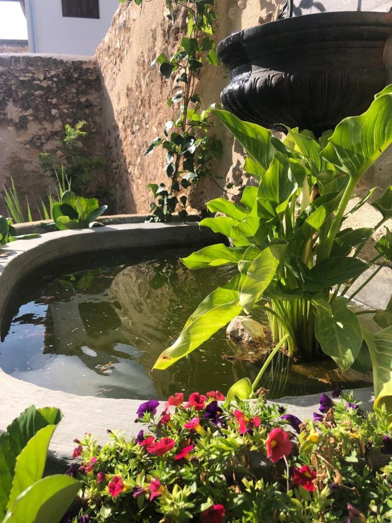 Ca Margalef - Casa Rural Con Encanto Ginestar Buitenkant foto